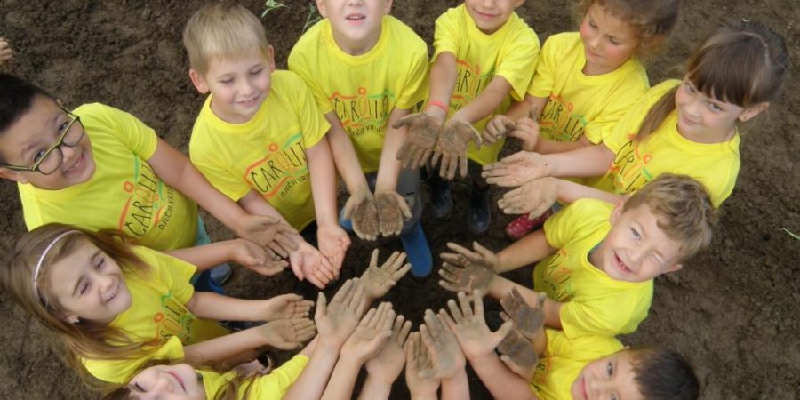 Putevi varaždinskog zelja u Općini Maruševec