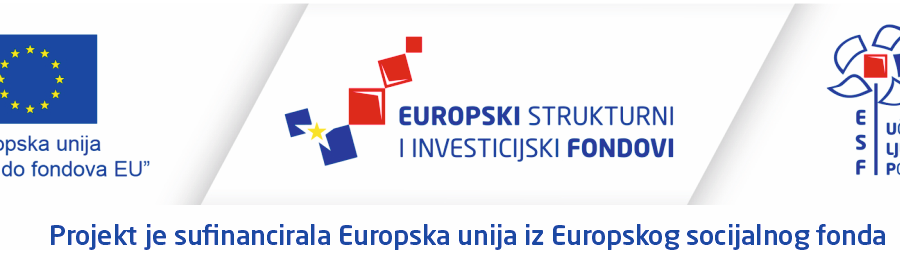 Suglasnost na kraći program informatike